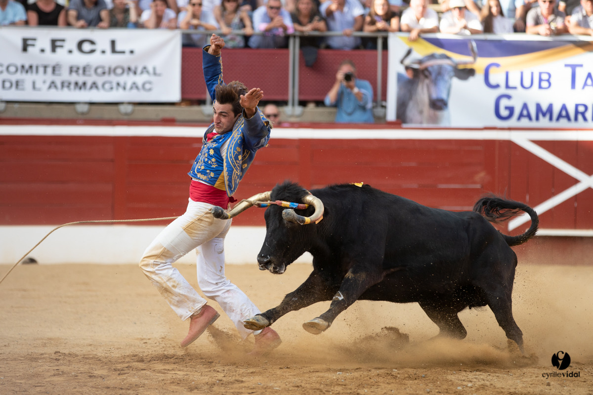 Mont-de-Marsan championnat de France de course landaise 2019