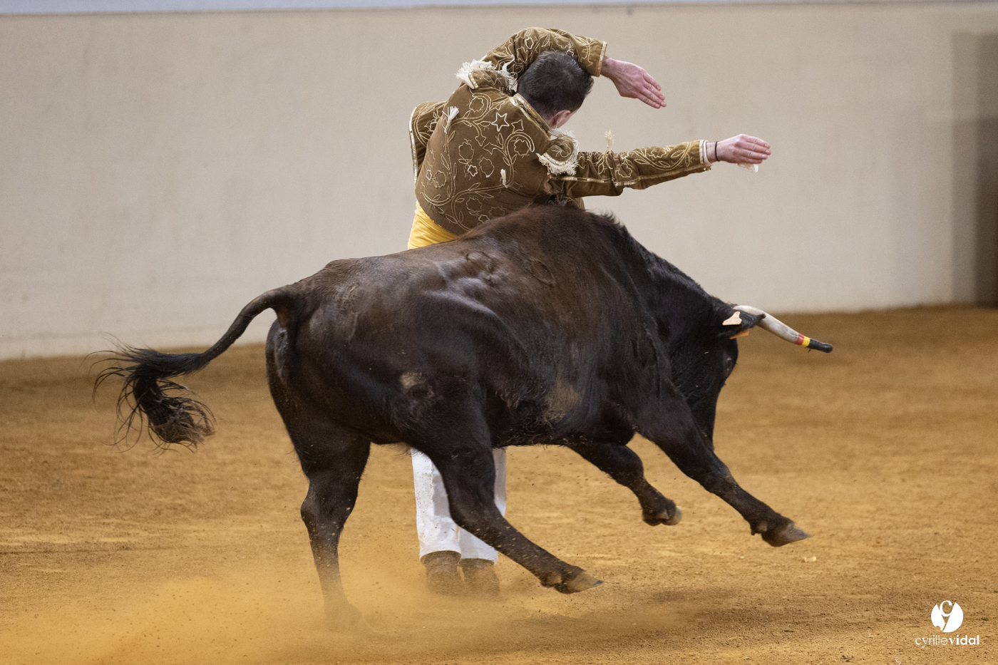 Horsarrieu course landaise du boléro d'Argent