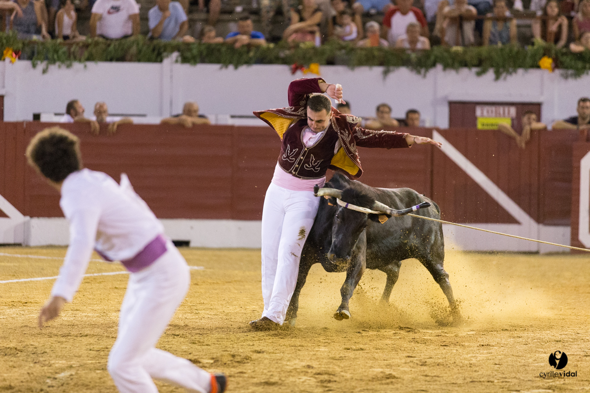 Aire sur l'Adour course landaise génération Aturine