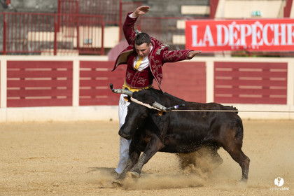 Course landaise Le Houga Ganadéria Dussau Cuadrilla Alexandre Brethes