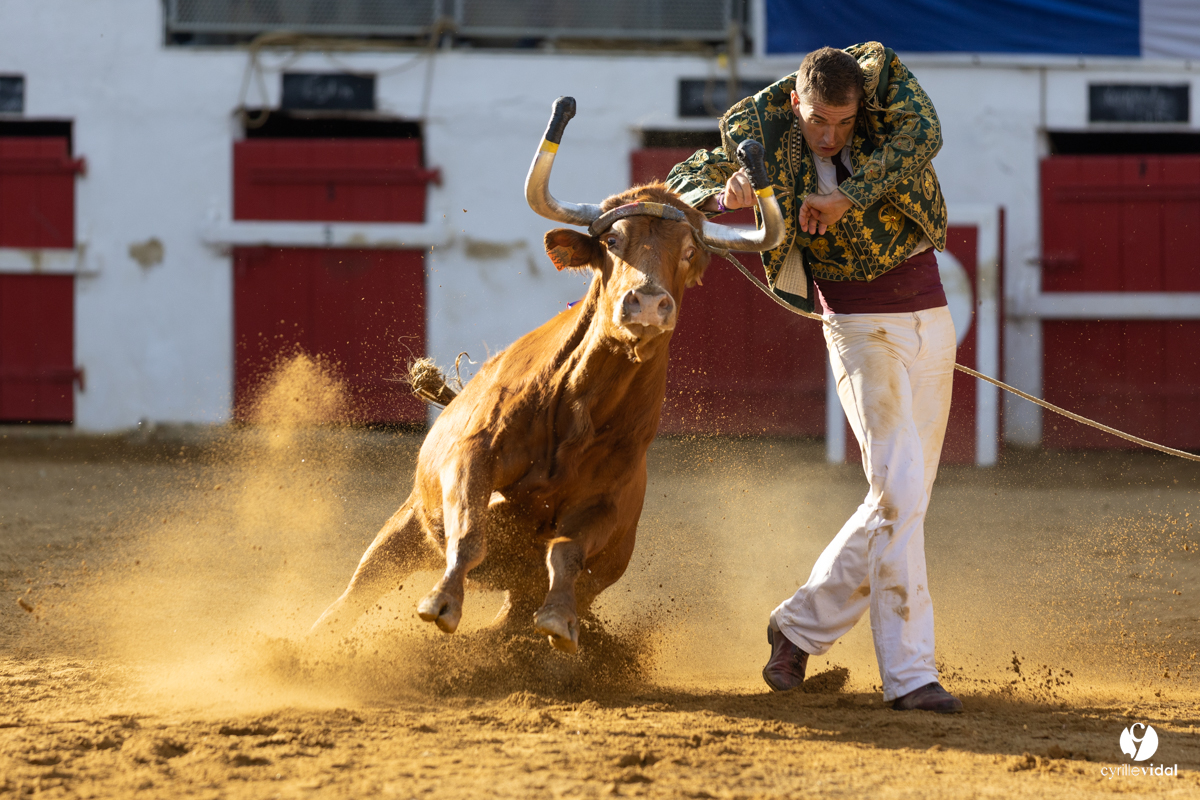 Nogaro Championnat de France de course landaise 2022