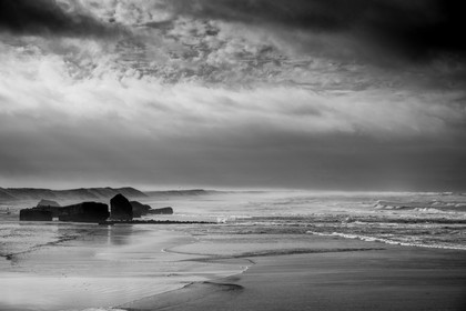 Paysages des Landes
