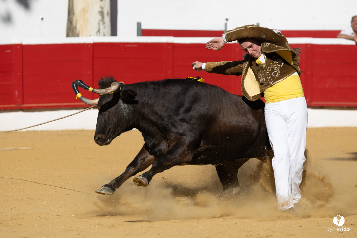 Nogaro Corne d'Or 2023