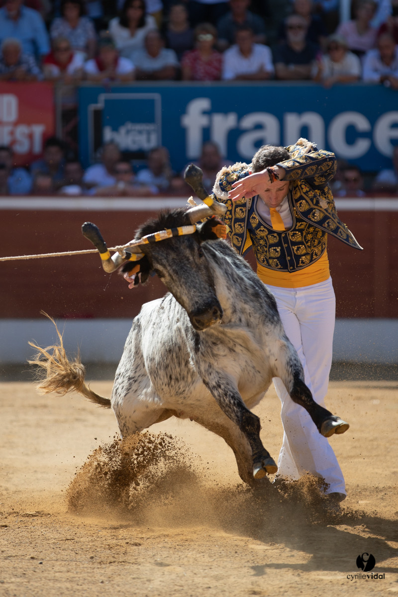 Mont-de-Marsan championnat de France de course landaise 2019