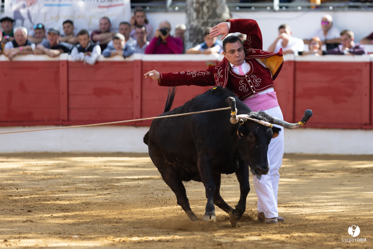Nogaro Championnat de France de course landaise 2022