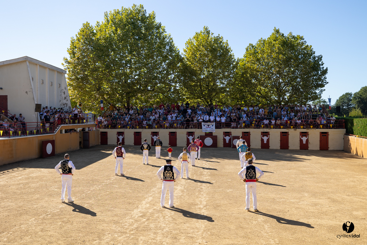 Course landaise