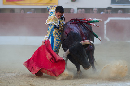 corrida, toro, vic fezensac, alcurrucen, michelito, morenito de aranda