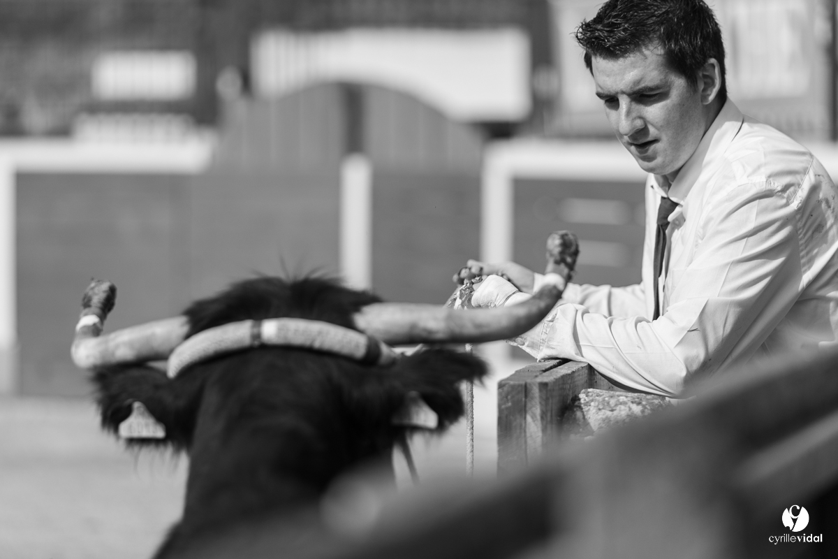 Course landaise Le Houga Ganadéria Dussau Cuadrilla Alexandre Brethes