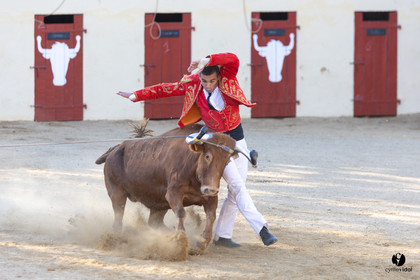 Course landaise