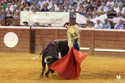 Corrida de Villeneuve-de-Marsan