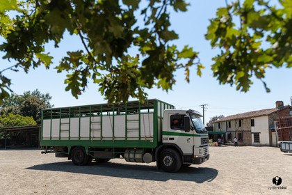 Course landaise à Panjas