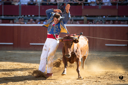 Mont-de-Marsan championnat de France de course landaise 2019