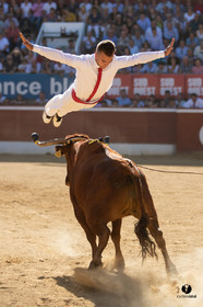 Mont-de-Marsan championnat de France de course landaise 2019