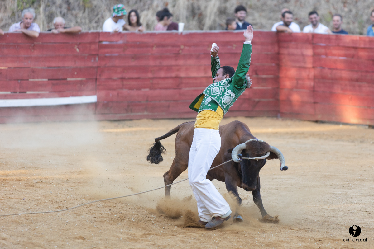 Course landaise à Panjas