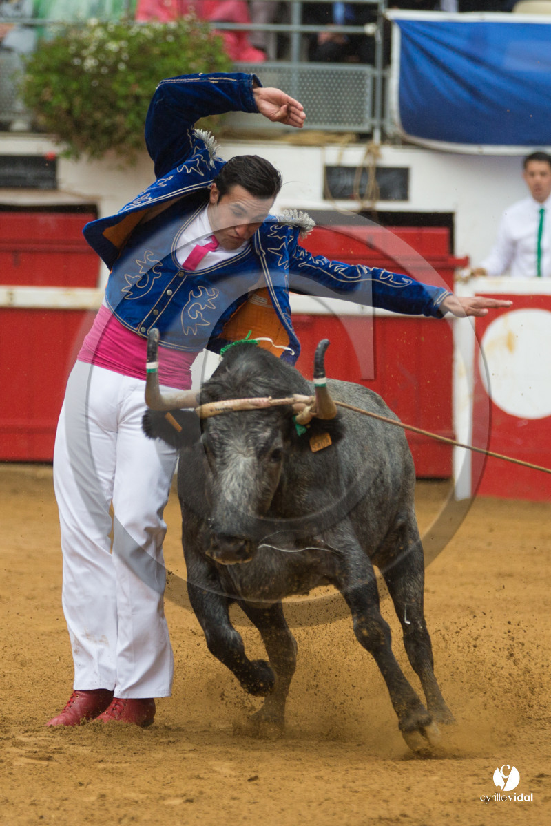 Nogaro Championnatde France de Course Landaise 2017