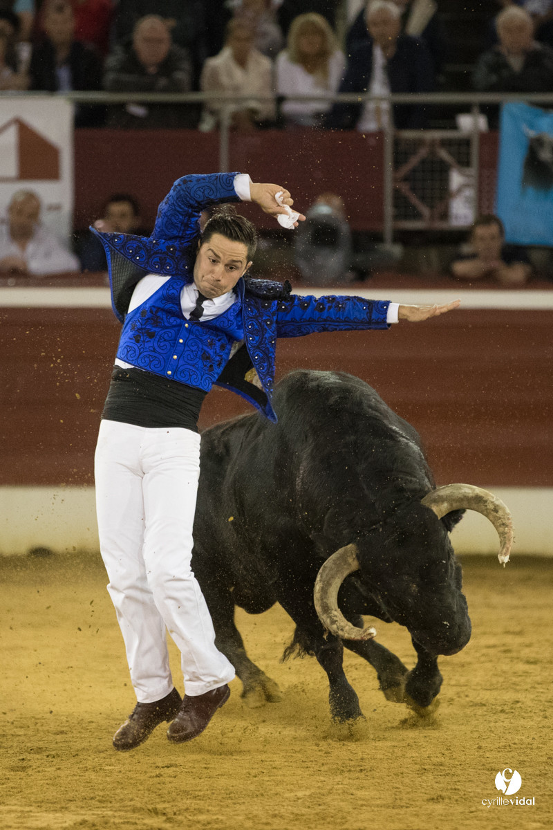 Mont-de-Marsan festival Art et Courage