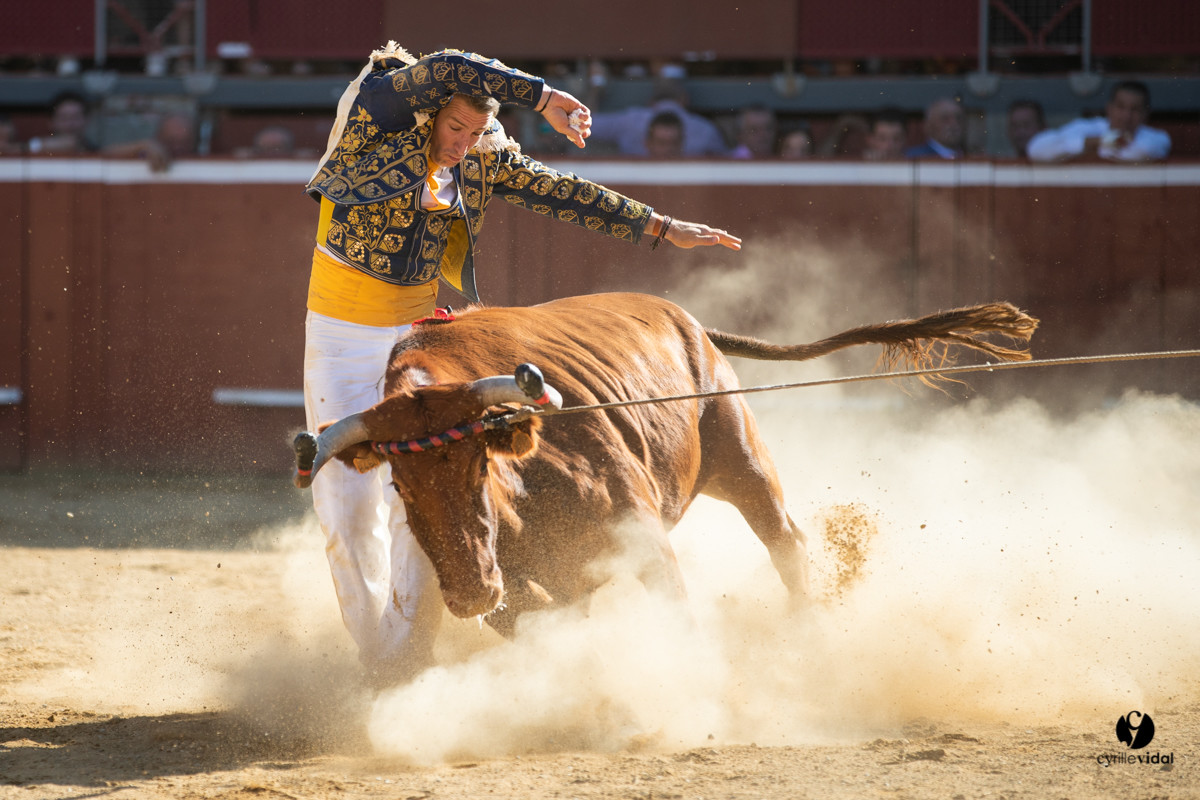 Mont-de-Marsan championnat de France de course landaise 2019