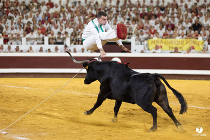 Dax concours landais 2022
