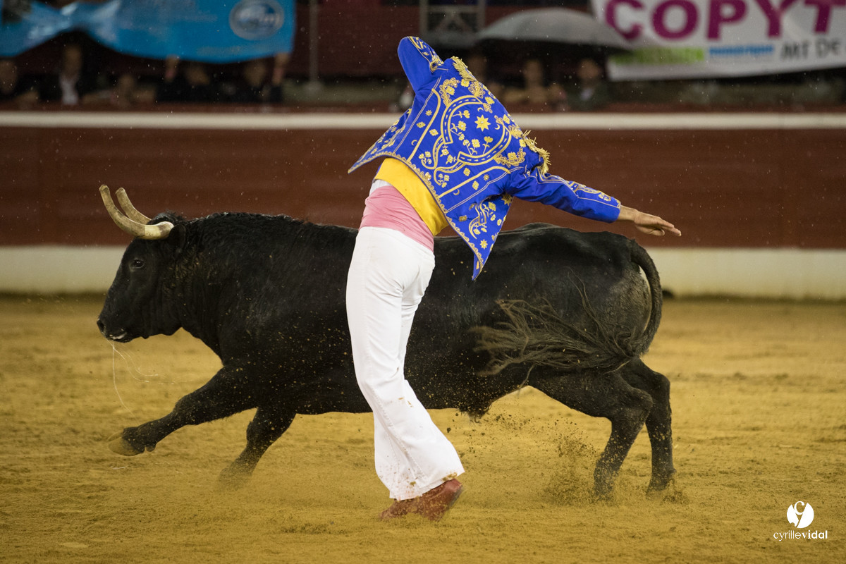 Mont-de-Marsan festival Art et Courage