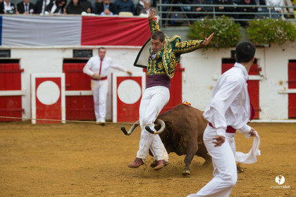Nogaro Championnatde France de Course Landaise 2017