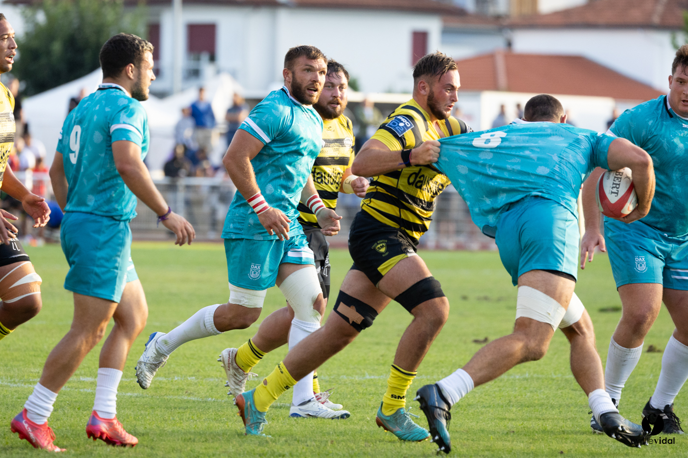 Dax - Stade Montois Rugby