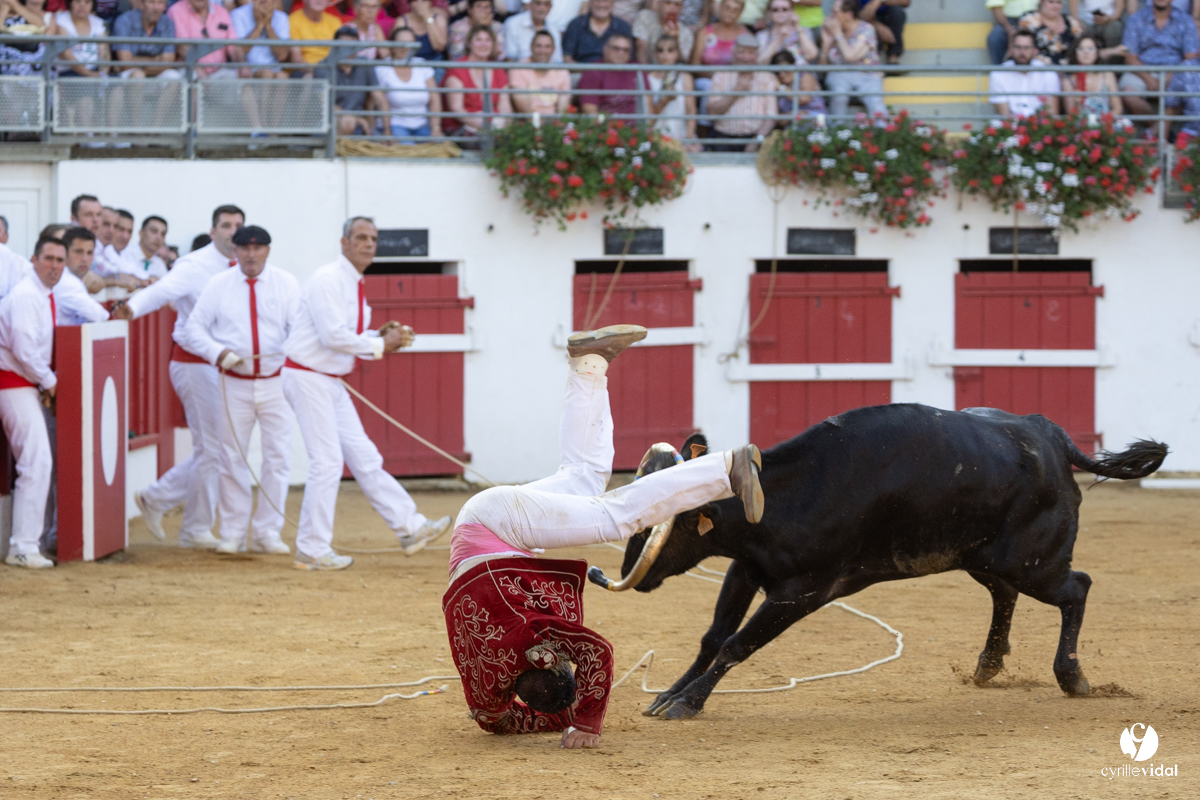 Nogaro Corne d'Or 2023