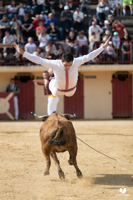 Course landaise Le Houga Ganadéria Dussau Cuadrilla Alexandre Brethes