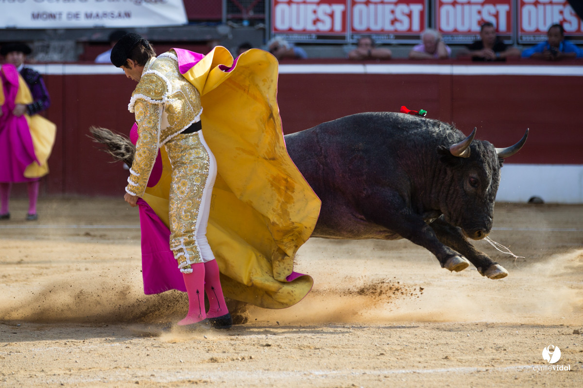 Mont-de-Marsan corrida d'Adolfo Martin