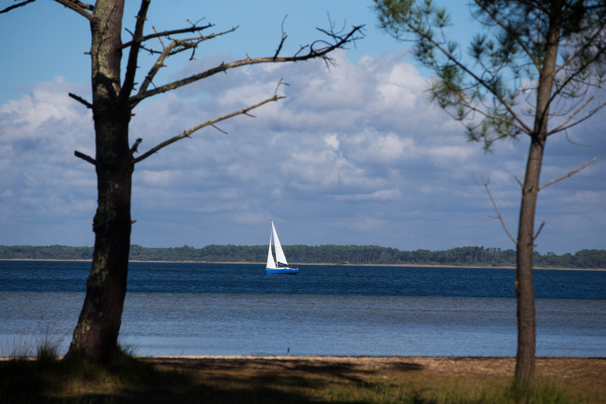 Paysages des Landes