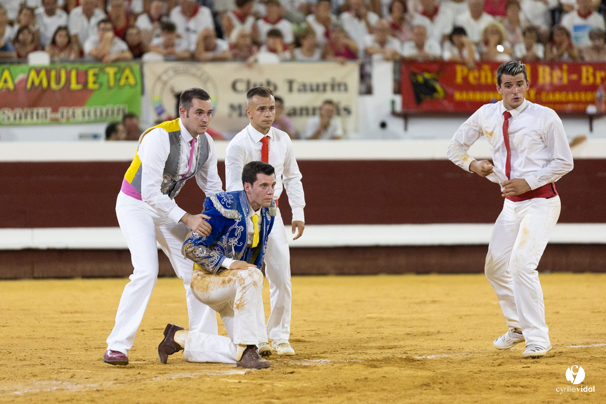 Dax concours landais 2022