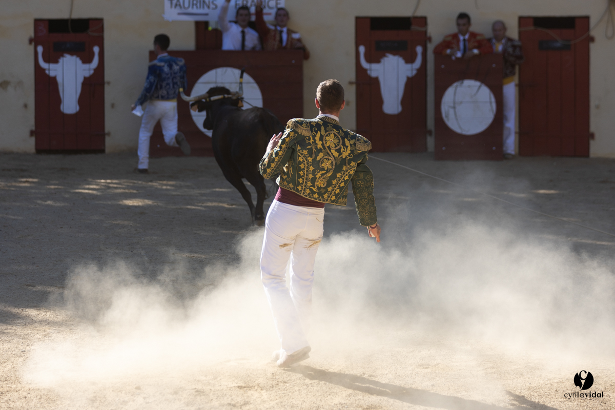 Course landaise