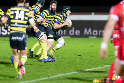 Stade Montois Rugby - Oyonnax