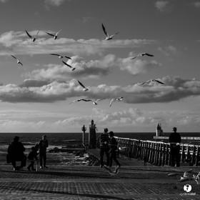 Océan Capbreton - Hossegor et Lac