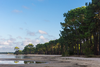 Paysages des Landes