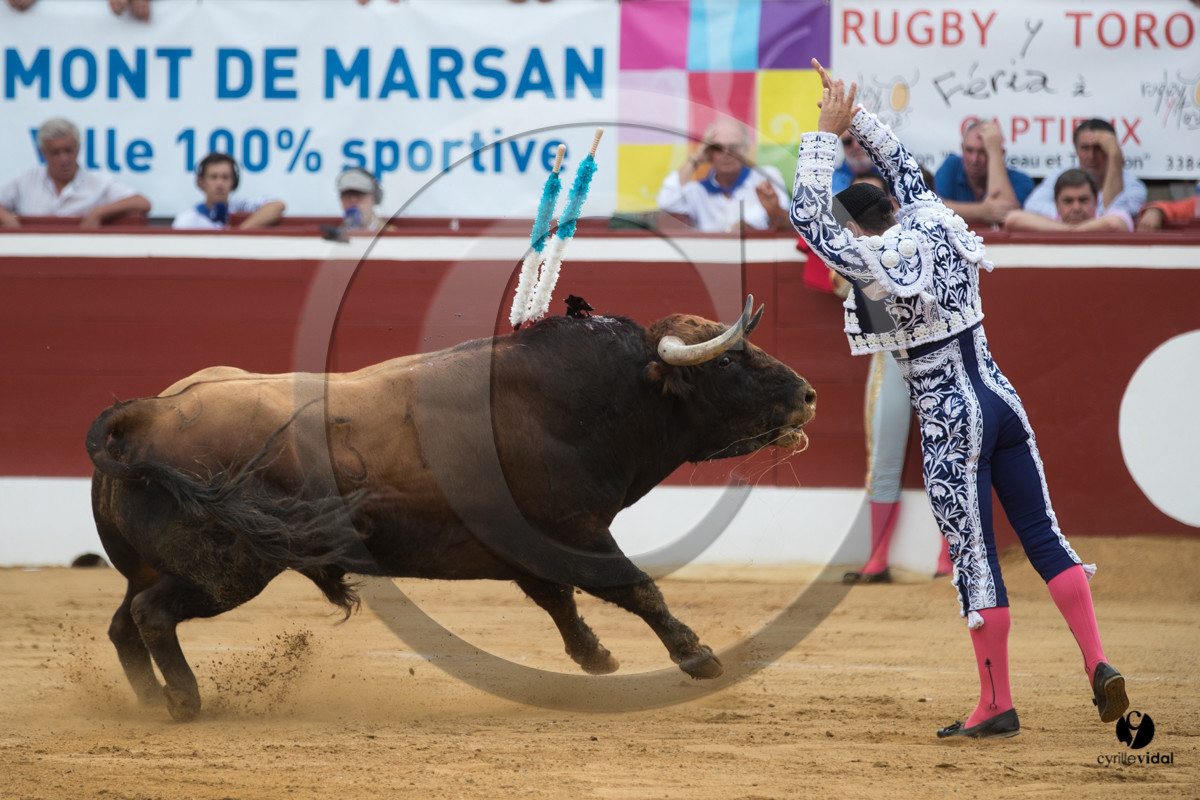 Mont-de-Marsan corrida de Garcigrande pour El Juli et Juan Bautista