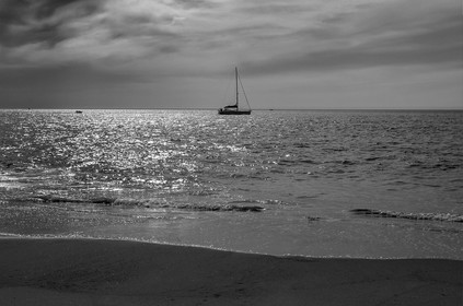 Paysages des Landes