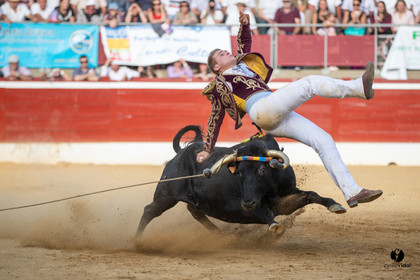Mont-de-Marsan championnat de France de course landaise 2019