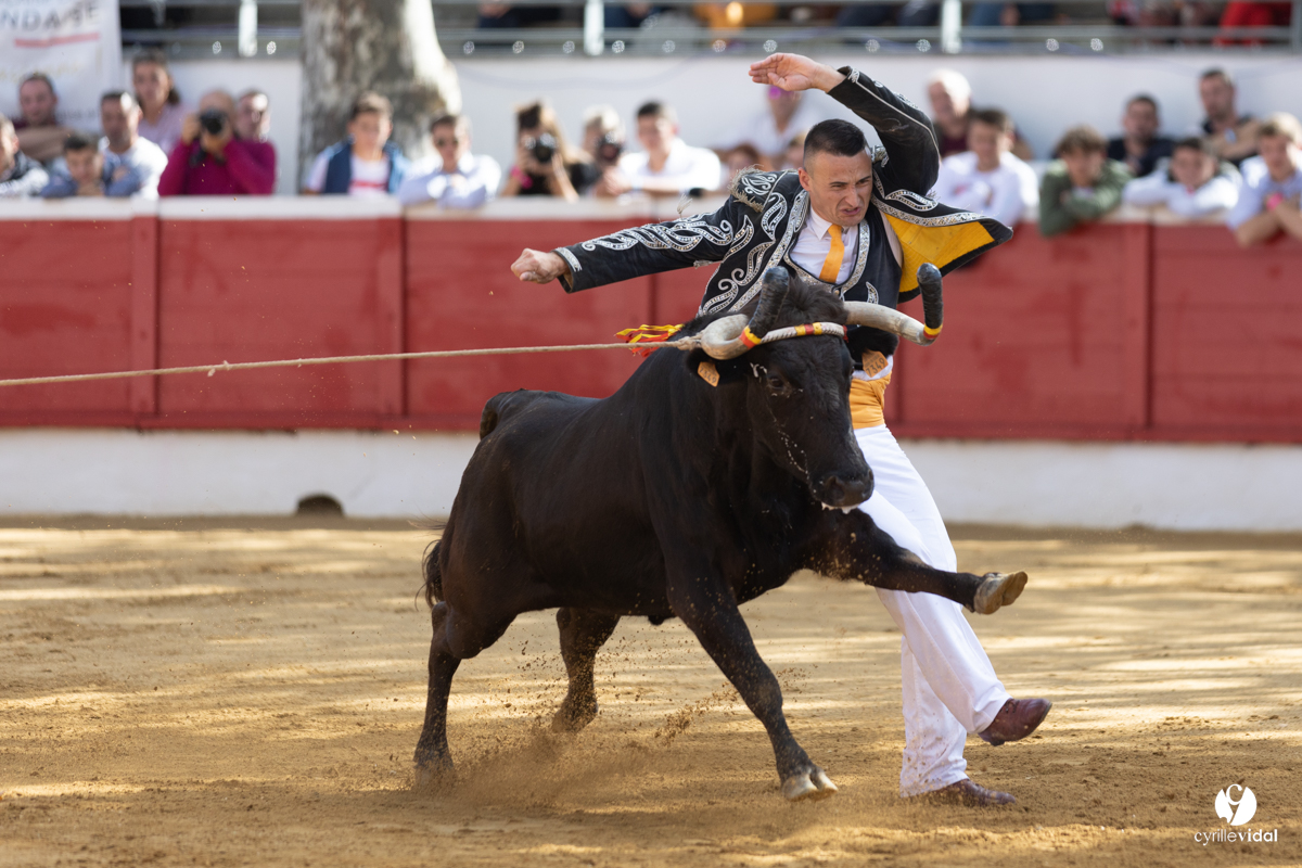 Nogaro Championnat de France de course landaise 2022
