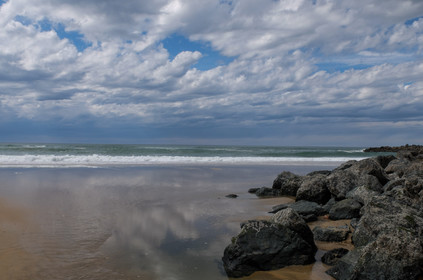 Paysages des Landes