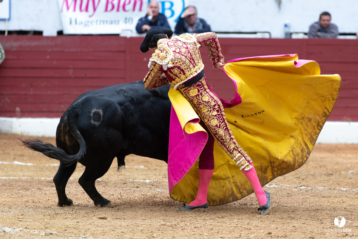 Corrida d'Aire sur l'Adour