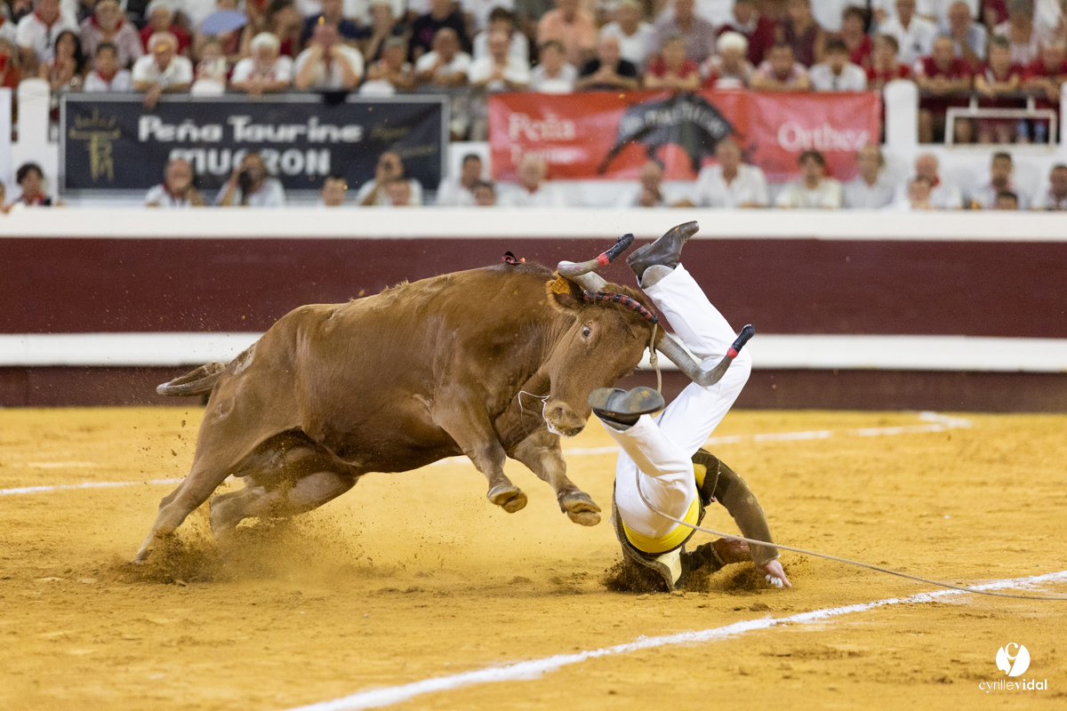 Dax concours landais 2022