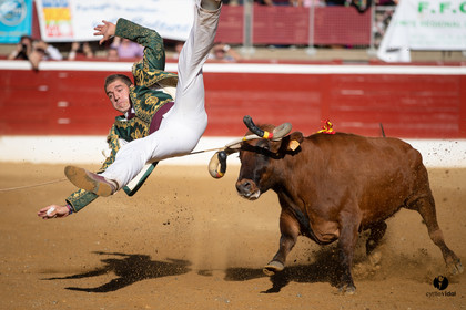 Mont-de-Marsan championnat de France de course landaise 2019