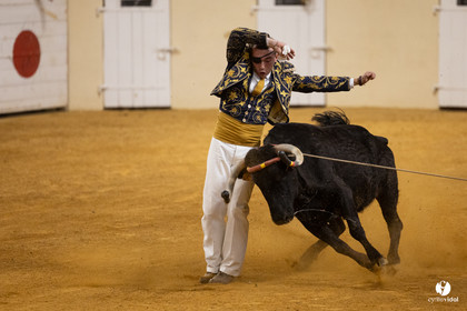 Horsarrieu course landaise du boléro d'Argent