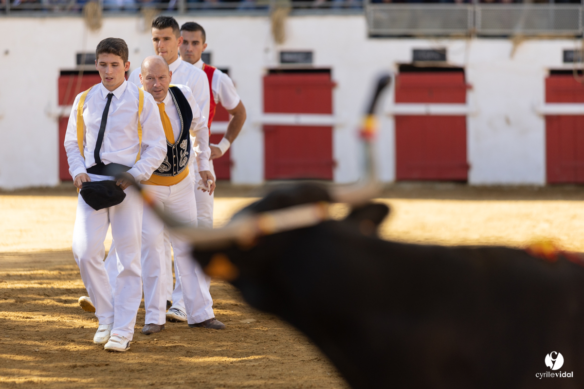 Nogaro Championnat de France de course landaise 2022