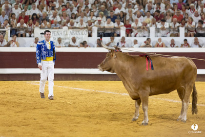 Dax concours landais 2022