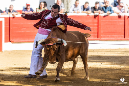 Nogaro Championnat de France de course landaise 2022