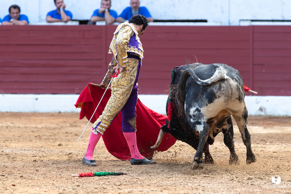 Corrida d'Aire sur l'Adour