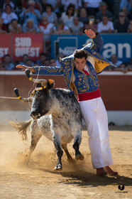 Mont-de-Marsan championnat de France de course landaise 2019