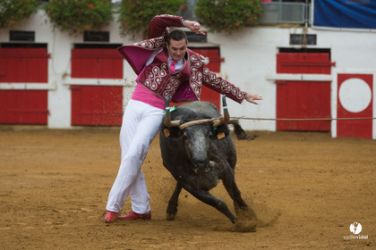 Nogaro Championnatde France de Course Landaise 2017