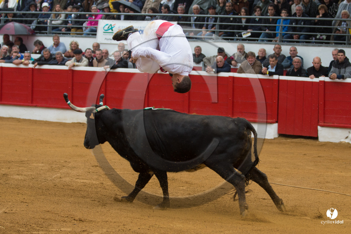 Nogaro Championnatde France de Course Landaise 2017
